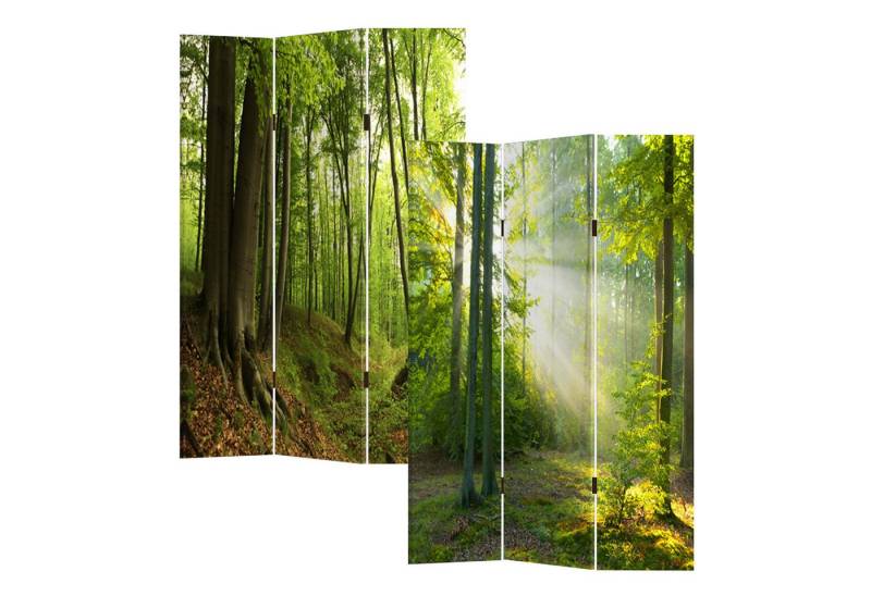 HTI-Line Paravent Paravent Waldweg (Stück, 1 St., 1 Paravent), Raumteiler Sichtschutz Trennwand von HTI-Line