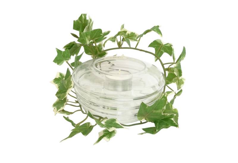 HTI-Line Teelichthalter Teelichthalter Teelichthalter (Teelichthalter ohne Kerze), Windlicht aus Glas von HTI-Line