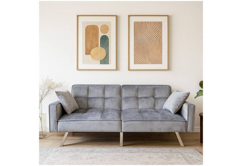 HTI-Living 2-Sitzer Sofa mit Schlaffunktion Brigga Grau, Stück 1 Teile, Funktionscouch inklusive 2 Zierkissen von HTI-Living
