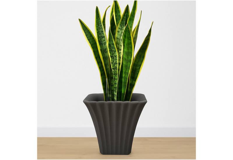 HTI-Living Blumentopf Übertopf Blumentopf (Stück, 1 St., 1 Blumentopf ohne Blumen), Zimmerdekoration von HTI-Living