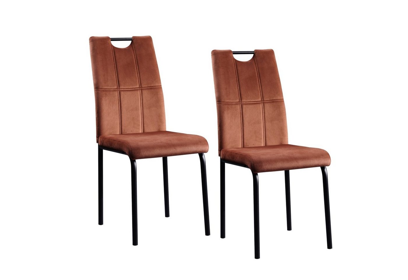 HTI-Living Esszimmerstuhl Stuhl Denton Velvet 2er-Set (Set, 2 St), Esszimmerstuhl Samt von HTI-Living