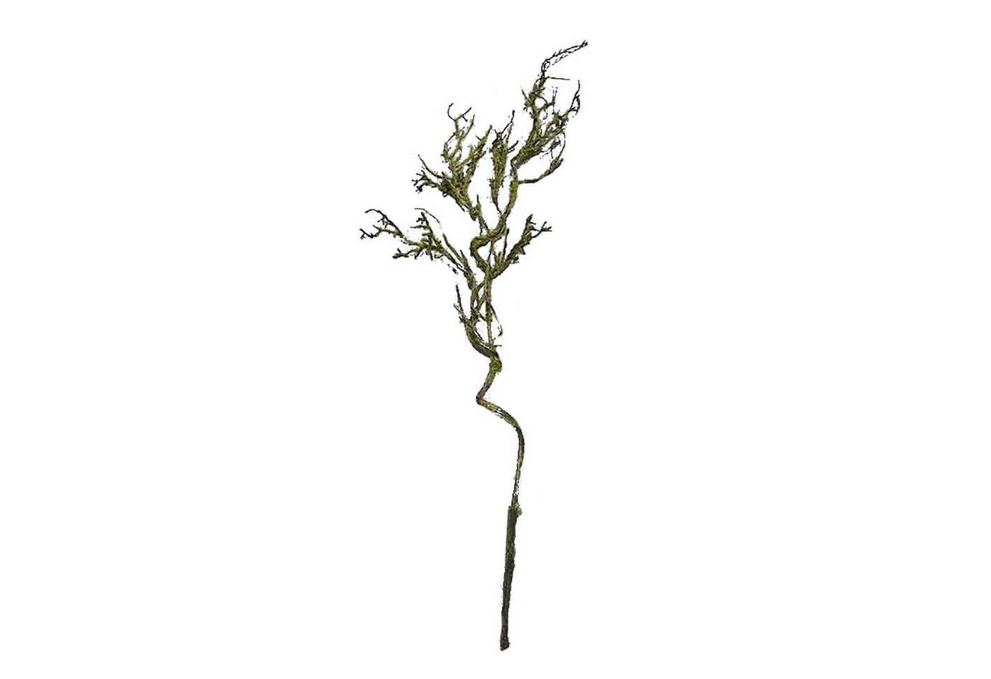 Kunstblume Moos Zweig Hellgrün 106 cm Kunstpflanze Flora Moos, HTI-Living, Höhe 106 cm von HTI-Living