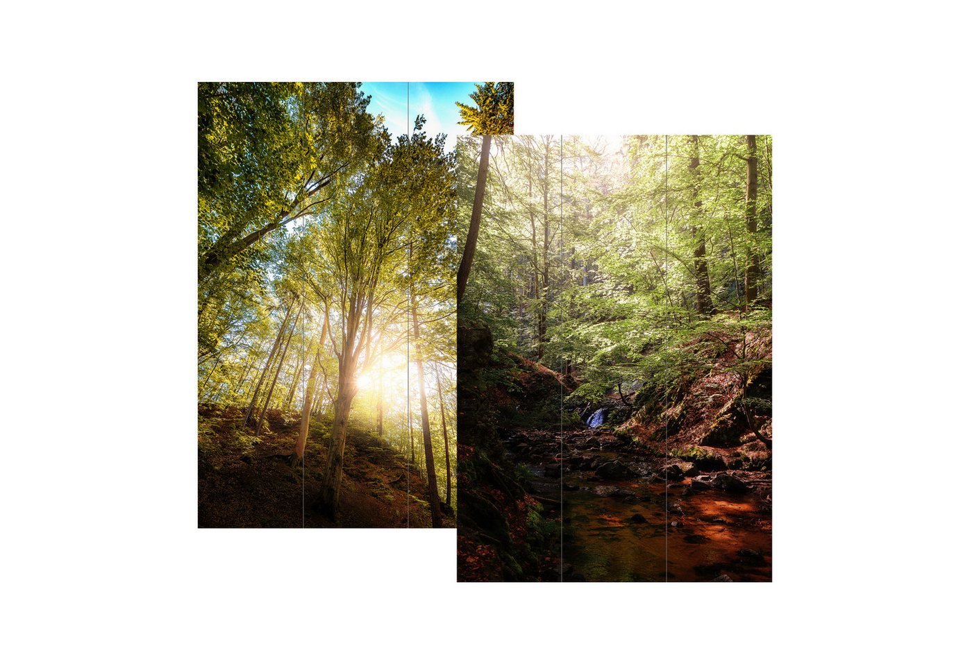 HTI-Living Paravent Paravent Wald (Stück, 1 St., 1 Paravent), Raumteiler Sichtschutz Trennwand von HTI-Living