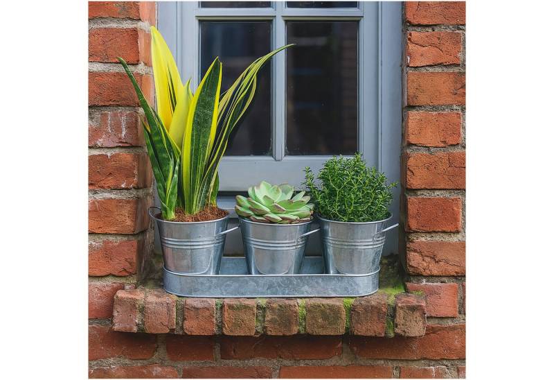 HTI-Living Pflanzkübel Zinktöpfe 3er-Set (Set, 4 St., 1 Tablett inkl. 3 Pflanztöpfe ohne Pflanzen), Blumenkübel Zinktopf Blumenkasten von HTI-Living