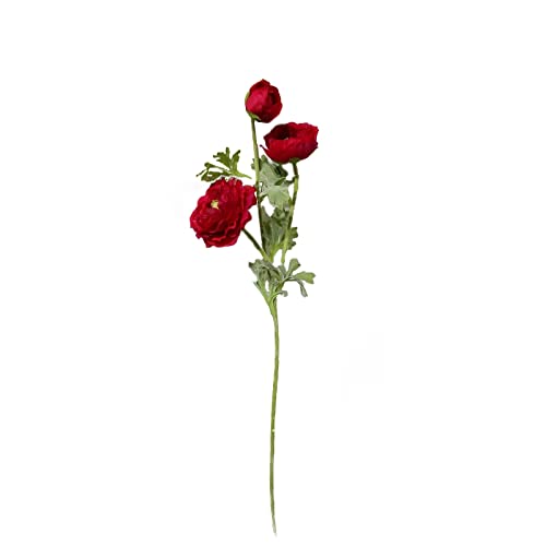 HTI-Living Ranunkel 64 cm Kunstblume Flora Rot von HTI-Living