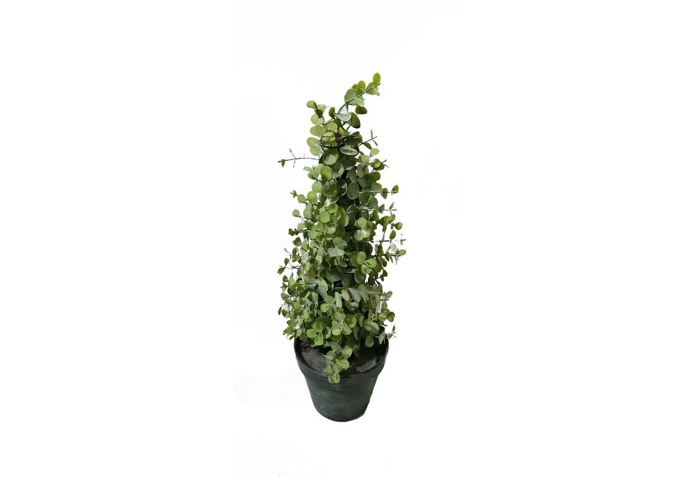 Kunstblume Eukalyptusbäumchen 43 cm Kunstpflanze Flora Eukalyptus, HTI-Living, Höhe 43 cm von HTI-Living