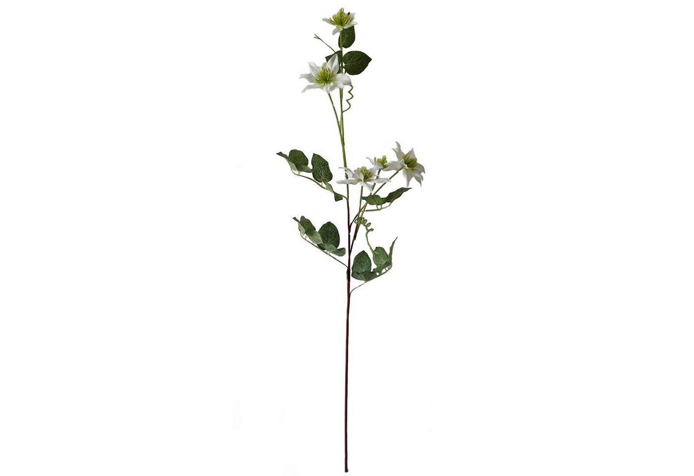 Kunstblume Frühlingsblume Weiß Kunstblume Flora unbekannt, HTI-Living, Höhe 78 cm, Höhe 78 cm von HTI-Living