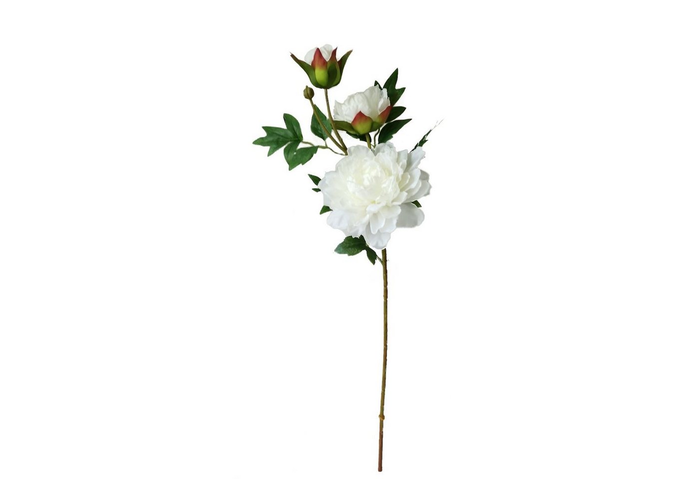 Kunstblume Pfingstrose Weiß 74 cm Kunstblume Flora Pfingstrose, HTI-Living, Höhe 74 cm von HTI-Living