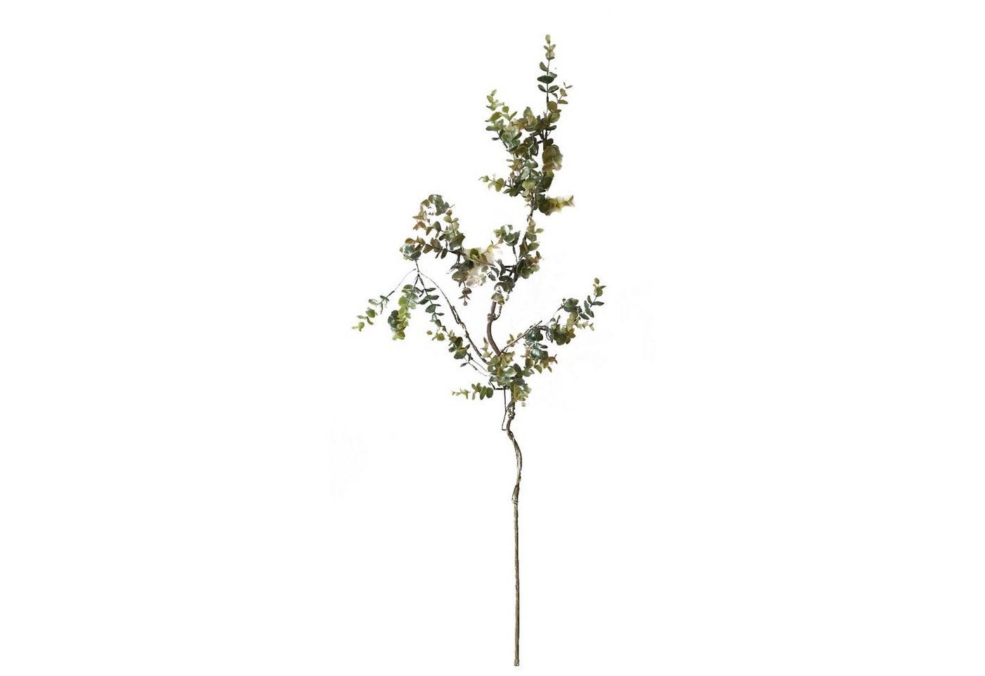 Kunstblume Eukalyptusstengel 88 cm Kunstpflanze Flora Eukalyptus, HTI-Living, Höhe 88 cm von HTI-Living