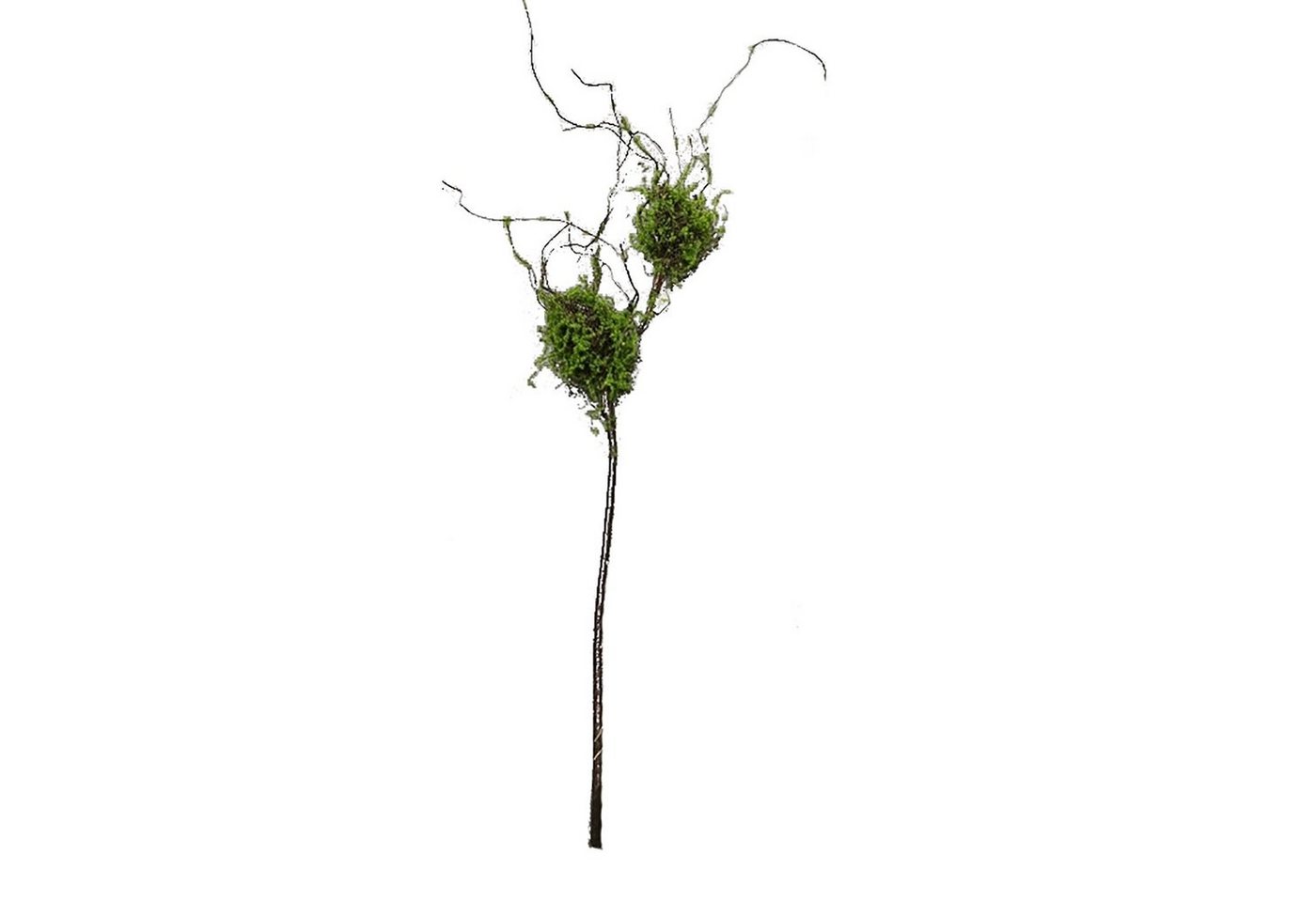 Kunstblume Zweig mit Vogelnestern Kunstpflanze Flora, HTI-Living, Höhe 115 cm von HTI-Living