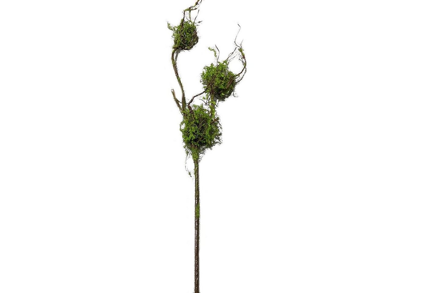 Kunstblume Zweig mit Vogelnestern Kunstpflanze Flora, HTI-Living, Höhe 132 cm von HTI-Living