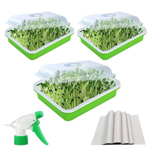 3Stück Keimschalen mit Deckel, Keimbehälter für Weizengras, Keimschalen für Saatgut, 10 Stück Keimpapier zum Einpflanzen von Samen, Keimschalen mit Deckel und Düse für den Anbau von Mungbohnen, Weizen 3Stück Keimschalen mit Deckel, Keimbehälter für Weizengras, Keimschalen für Saatgut, 10 Stück Keimpapier zum Einpflanzen von Samen, Keimschalen mit Deckel und Düse für den Anbau von Mungbohnen, Weizen von HTRTRR