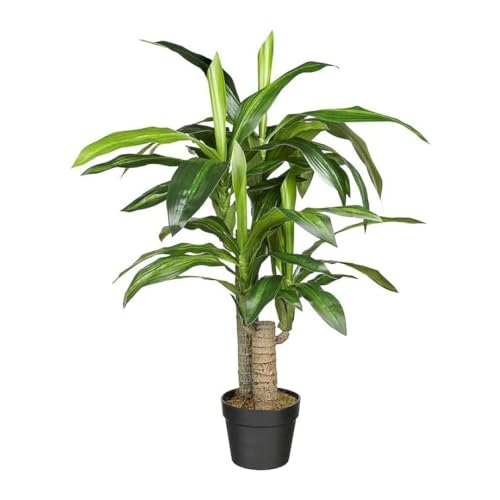 HTT Decorations - Künstlicher Drachenbaum (Dracaena Fragans) - Hochwertige Kunstpflanzen - 90cm hoch von HTT Decorations