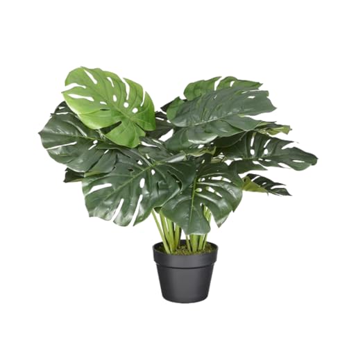 HTT Decorations - Künstliche Monstera - Hochwertige Kunstpflanzen - 60 cm hoch, Untertopf mit 16 cm Durchmesser von HTT Decorations