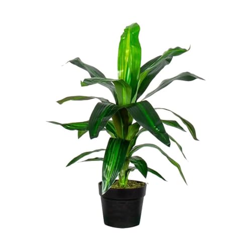 HTT Decorations - Kunstpflanze/künstlicher Drachenbaum Dracaena Fragans/Zimmerpflanzen - Grünpflanze- Höhe 60 cm von HTT Decorations