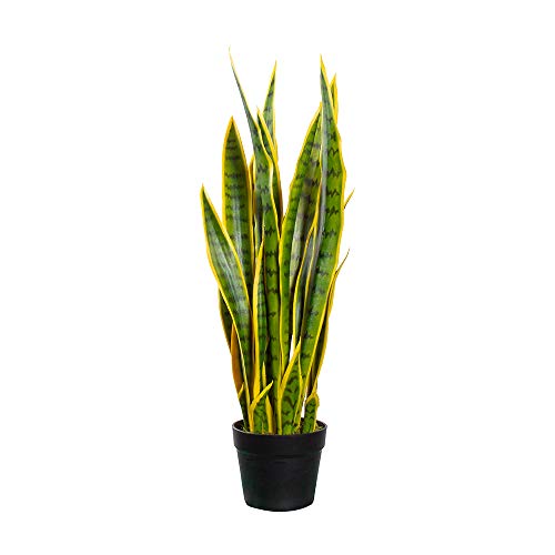 HTT Decorations - Kunstpflanze/künstlicher Bogenhanf/Sansevieria/Bogenhanf - Zimmerpflanzen - Deko - Höhe 70 cm von HTT Decorations