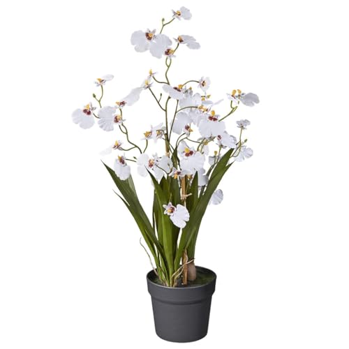 HTT Decorations - künstliche Orchidee mit weißen Blüten - Kunstpflanze im Topf - unechte Pflanze - Kunstblume - Kunstpflanzen wie echt - 65 cm Höhe von HTT Decorations