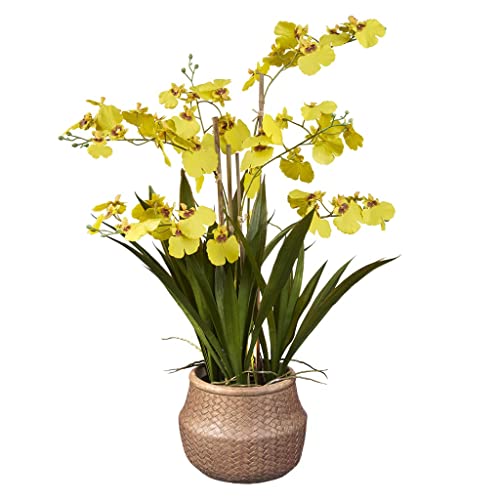 HTT Decorations - künstliche Pflanzen - Orchidee - inGeel - 60 - Grünpflanze - im Topf - Deko - Zimmerpflanze von HTT Decorations