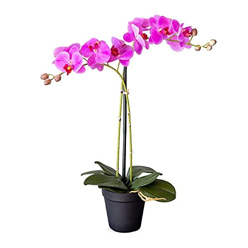 HTT Decorations - künstliche Orchidee - Orchidee - in rosa - 53-2 Zweige - im Topf - Deko - Zimmerpflanze von HTT Decorations