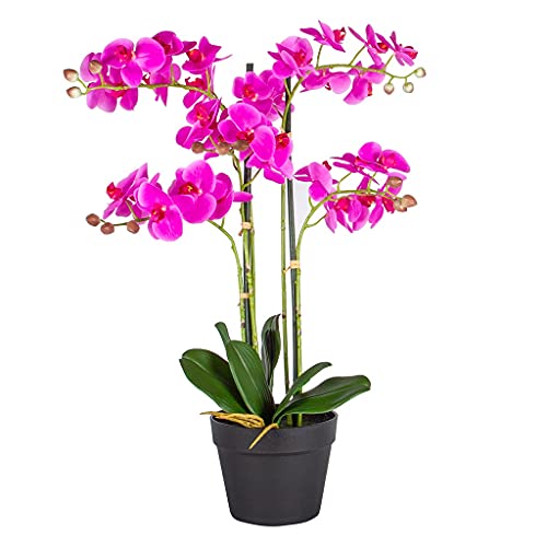 HTT Decorations - künstliche Orchidee - Orchidee - in rosa - 68-5 Zweige - im Topf - Deko - Zimmerpflanze von HTT Decorations