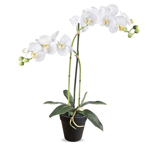 HTT Decorations - künstliche Orchidee - Orchidee - in weiß - 53-2 Zweige - im Topf - Deko - Zimmerpflanze von HTT Decorations