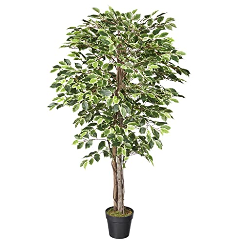 HTT Decorations - künstliche Pflanzen - Ficus/Feige - inWitgroen - 150 - Grünpflanze - im Topf - Deko - Zimmerpflanze von HTT Decorations