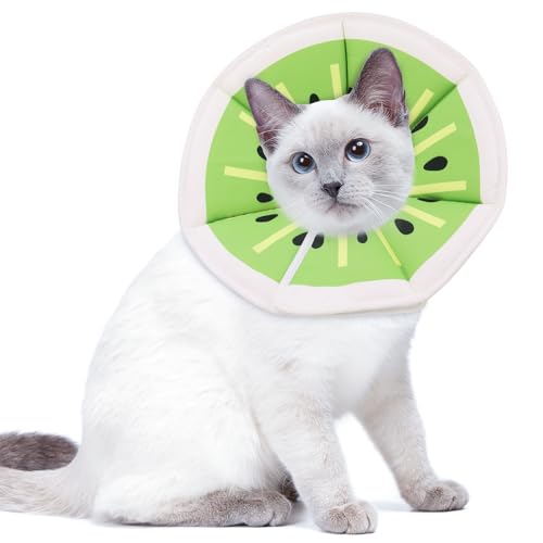 HTTDSLF Halskrause Katze, Einstellbarer Halskrause Katze Halsband, Weich Kragen Cone, Katzenkragen Nach Operation um Lecken zu verhindern, für Kleine Hunde, Kätzchen und Katzen HTTDSLF Halskrause Katze, Einstellbarer Halskrause Katze Halsband, Weich Kragen Cone, Katzenkragen Nach Operation um Lecken zu verhindern, für Kleine Hunde, Kätzchen und Katzen von HTTDSLF