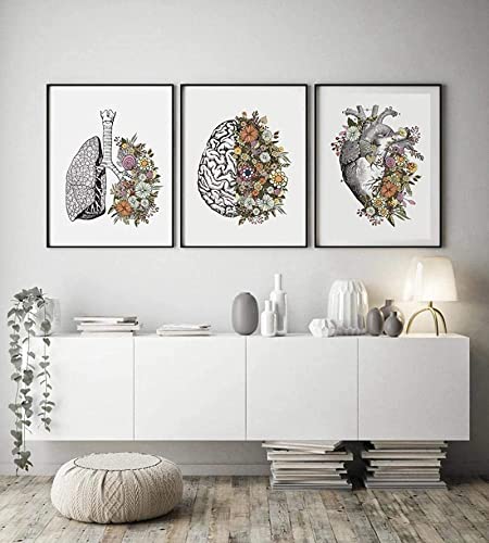 Anatomie Menschliche Blumen Leinwandbilder Malerei Herz Lunge Gehirn Wanddekoratio Krankenhaus Klinik Wandkunst Kunstposter Bilder Rahmenlos (3X20X30CM) von HTWLMM