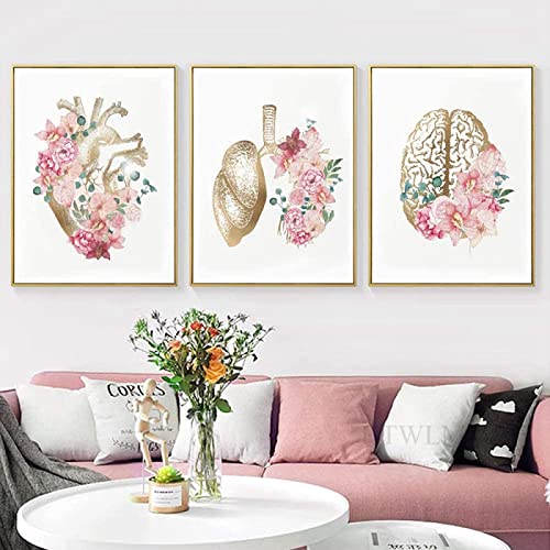 Blumen Anatomie Menschliche Leinwandbilder Malerei Herz Lunge Gehirn Wanddekoratio Krankenhaus Klinik Wandkunst Kunstposter Bilder Rahmenlos (3X20X30CM) von HTWLMM