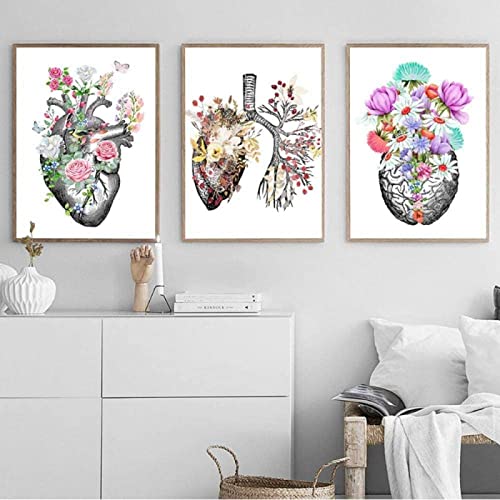 HTWLMM Anatomie Medizin Aquarell Blumen Leinwand Malerei Organe Herz Gehirn Bilder Poster Kunstdruck Wandbilder für Krankenhaus Klinik Deko Rahmenlos (A,3X30X50CM) von HTWLMM