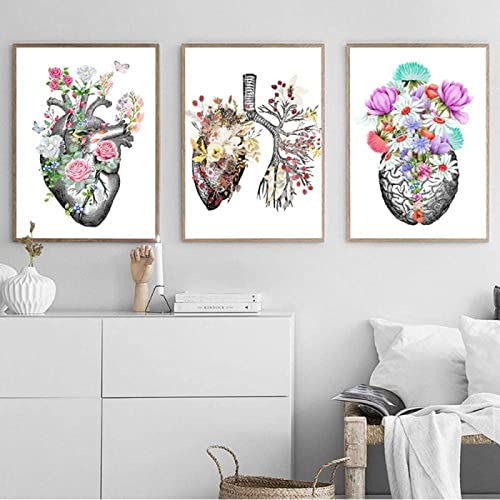 HTWLMM Anatomie Medizin Aquarell Blumen Leinwand Malerei Organe Herz Gehirn Bilder Poster Kunstdruck Wandbilder für Krankenhaus Klinik Deko Rahmenlos (A,3X40X50CM) von HTWLMM