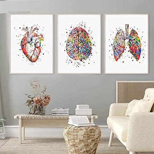 HTWLMM Anatomie Medizin Aquarell Blumen Leinwand Malerei Organe Herz Gehirn Bilder Poster Kunstdruck Wandbilder für Krankenhaus Klinik Deko Rahmenlos (B,3X30X40CM) von HTWLMM