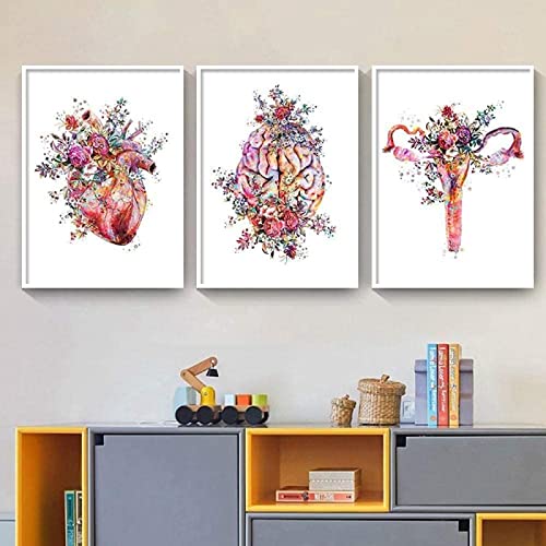 HTWLMM Anatomie Medizin Aquarell Blumen Leinwand Malerei Organe Herz Gehirn Bilder Poster Kunstdruck Wandbilder für Krankenhaus Klinik Deko Rahmenlos (C,3X30X40CM) von HTWLMM