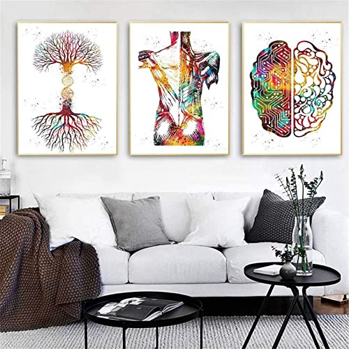 HTWLMM Anatomie Medizin Aquarell Blumen Leinwand Malerei Organe Herz Gehirn Bilder Poster Kunstdruck Wandbilder für Krankenhaus Klinik Deko Rahmenlos (F,3X40X60CM) von HTWLMM