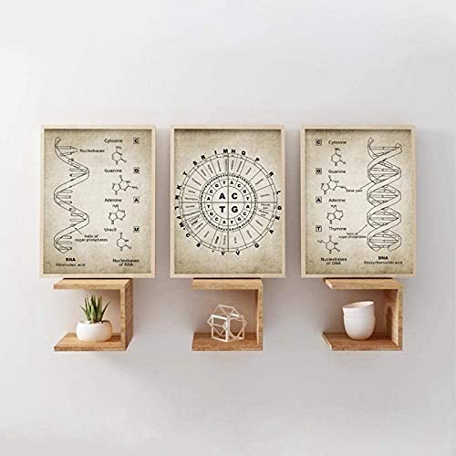 HTWLMM DNA Und RNA Genetischen Code Leinwand Poster Druck Gemälde Wandbild Genetik Biochemie Student Geschenk Kunstposter Home Decoration Kein Rahmen (3X30X40CM) von HTWLMM