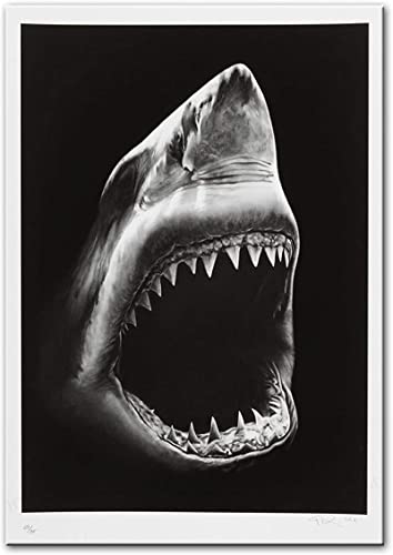 HTWLMM Kunstdrucke Auf Leinwand Bilder Schwarz Weißer Hai Poster Tiere Wandkunst Schlafzimmer Decor Ohne Rahmen Bilder Poster Wohnzimmer Hauptdekorationen (60X80CM) von HTWLMM