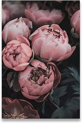 HTWLMM Leinwand Bilder Pfingstrose Rose Blume Malerei Poster Kunstdruck für Wohnzimmer Schlafzimmer Wandbilder Deko (Rahmenlos) (20X30CM) von HTWLMM