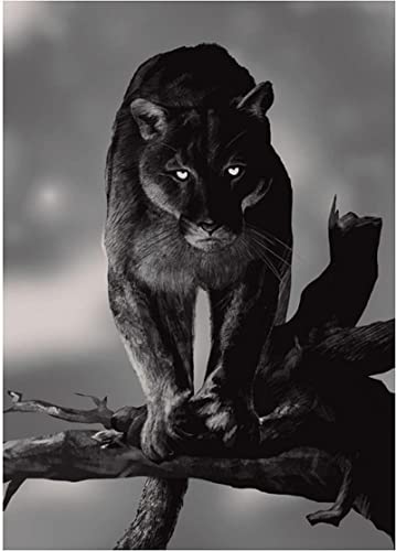 HTWLMM Leinwandbilder Schwarz-Weiß Panther Tier Poster Wandkunst Gemälde Kunstdruck Für Schlafzimmer Wohnzimmer Wohnung Dekor Kein Rahmen (40X60CM) von HTWLMM