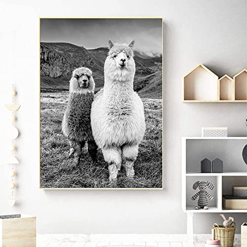 HTWLMM Leinwandbilder Schwarz Weiß Tier Alpaka Poster Wandkunst Gemälde Kunstdruck Für Schlafzimmer Wohnzimmer Wohnung Dekor Kein Rahmen (40X60CM) von HTWLMM