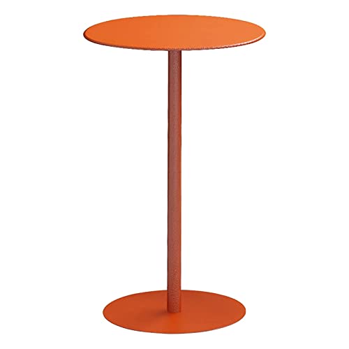 HTYUKFDG Couchtisch aus Metall, moderner einfacher Beistelltisch, Kleiner runder Tisch, Beistelltisch im nordischen Stil für Sofa, Café, Bar, Wohnzimmer, Schlafzimmer, Balkon von HTYUKFDG