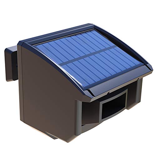Extra 1/4 Meile Solar Wireless Wetterfest Outdoor Bewegungsmelder für HTZSAFE Auffahrt Alarm (Sensorauge mit Abdeckung) von HTZSAFE