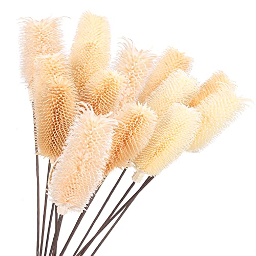 HUAESIN 12 Pcs Getrocknete Blumen Deko Natürliche Trockenblume Deko Groß Trockene Blume Weiß für Fotografie Vase Hause Tischdeko Party Hochzeit Dekoration 50cm von HUAESIN