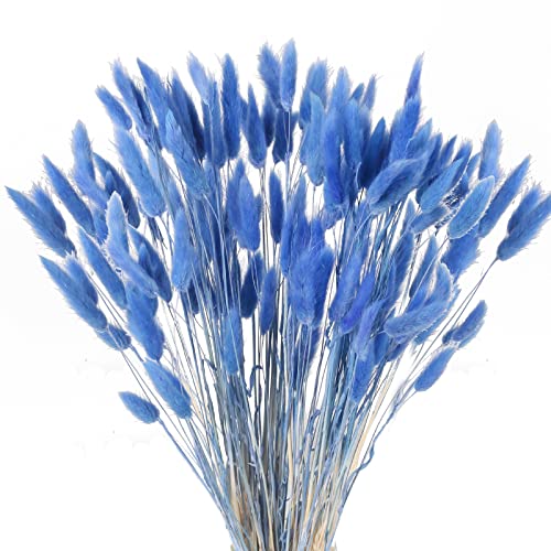 HUAESIN 120 Pcs Natürliche Trockenblumen Pampasgras Getrocknet Blumen Klein Getrocknetes Pampas Gras Pampasgras Klein Schilfgras für Hochzeit Hause Party Wedding Büro Fotografie Vase Deko Blau von HUAESIN