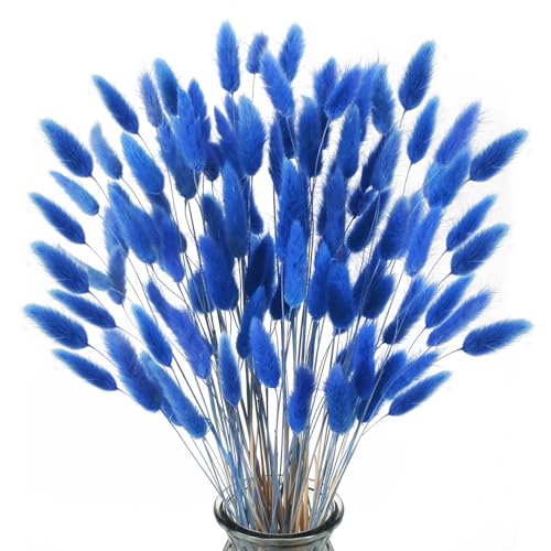 HUAESIN 120 Pcs Natürliche Trockenblumen Pampasgras Getrocknet Blumen Klein Getrocknetes Pampas Gras Pampasgras Klein Schilfgras für Hochzeit Hause Party Wedding Büro Fotografie Vase Deko Blau von HUAESIN