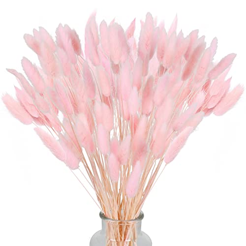 HUAESIN 120 Pcs Natürliche Trockenblumen Pampasgras Getrocknet Blumen Klein Pampas Gras Pampasgras Trockenblumen Schilfgras für Hochzeit Hause Party Wedding Büro Fotografie Vase Deko Pink von HUAESIN