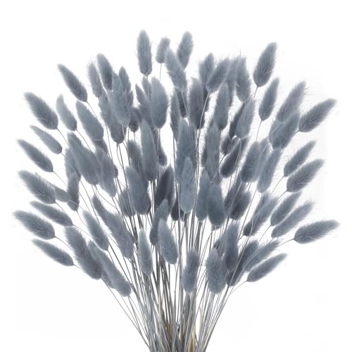 HUAESIN 120 Stück Trockenblumen Klein Pampasgras Natürliche Getrocknet Blumen Getrocknetes Schilfgras Klein für Hochzeit Hause Party Wedding Büro Fotografie Vase Deko Grau HUAESIN 120 Stück Trockenblumen Klein Pampasgras Natürliche Getrocknet Blumen Getrocknetes Schilfgras Klein für Hochzeit Hause Party Wedding Büro Fotografie Vase Deko Grau von HUAESIN