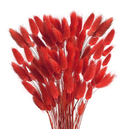 HUAESIN 120pcs Getrocknet Blumen Schlifgras Trockenblumen Deko Herbst Dekoblumen Rot Gras Klein Trockenblumen Natürliche Schilfgras für Zuhause Halloween Hochzeit Vase Thanksgiving von HUAESIN