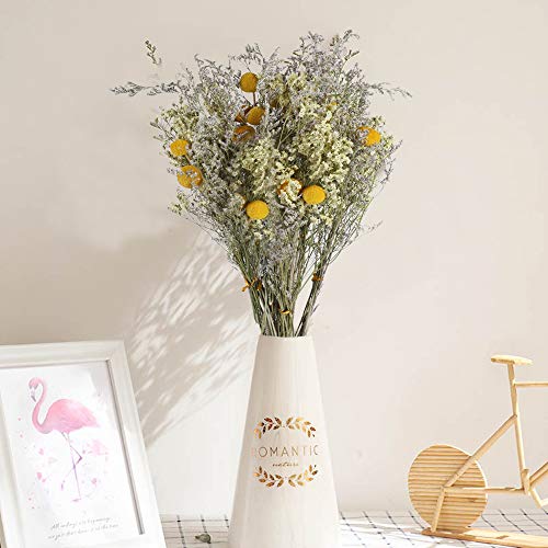 HUAESIN 8 Pcs Getrocknete Blumen Natürliche Trockenblumen Deko Getrocknete Blumen Craspedia Globosa für Hochzeit Vase Zuhause Tischdeko Büro Party Foto Requisiten DIY Dekoration Gelb von HUAESIN