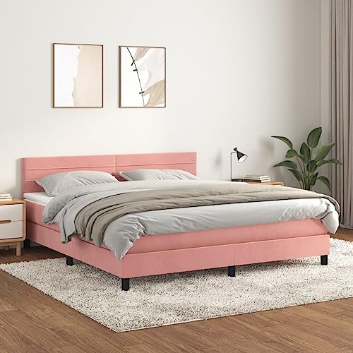HUAKEHOM Boxspringbett mit Matratze Doppelbett Polsterbett Bett Hotelbett Bettrahmen Bettgestell Lattenrost Schlafzimmerbett Rosa 160x200 cm Samt HUAKEHOM Boxspringbett mit Matratze Doppelbett Polsterbett Bett Hotelbett Bettrahmen Bettgestell Lattenrost Schlafzimmerbett Rosa 160x200 cm Samt von HUAKEHOM