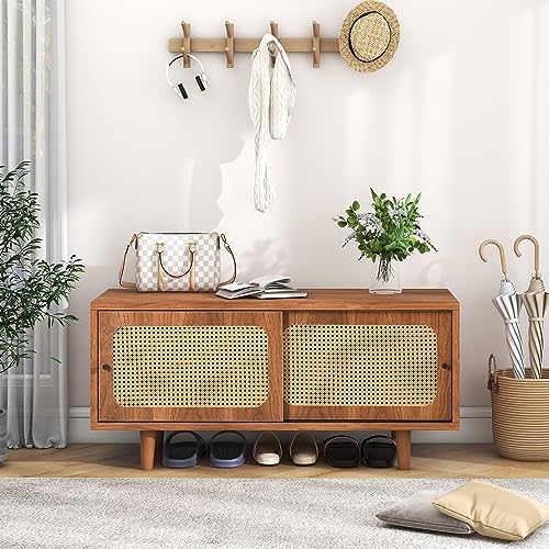 HUAKEHOM Rattan Schuhschrank mit 2 Türen mit verstellbare Ablage Walnussfarbe formschöner Schuhschrank für Flur Wohn- und Schlafzimmer104*40 * 48 cm von HUAKEHOM
